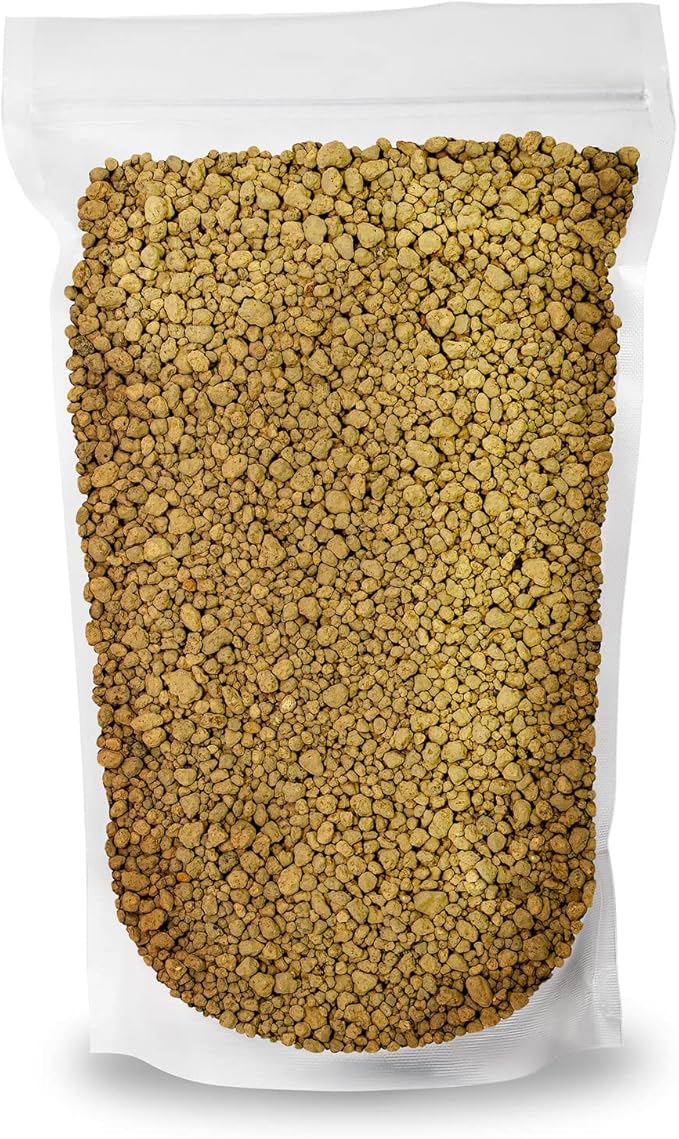 Japanese Hyuga Pumice - Premium Additive for Orchid & Bonsai Tree Soil |Professional Imported Sifted and Ready to Use (2 Quart Bag)