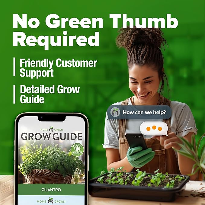 HOME GROWN Cilantro Seeds 250 Calypso & 250 Santo Cilantro for Planting Indoors, Hydroponics or Aerogarden - Heirloom, Non-GMO, Santo Plant, for Your Indoor Herb Garden
