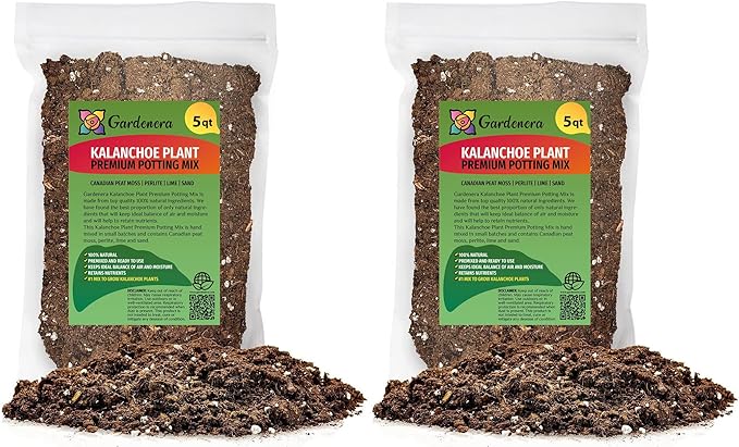 Kalanchoe Plant Premium Potting Mix - 10 Quart - Optimize Growth with Natural Ingredients (2 Bags of 5 Quart)