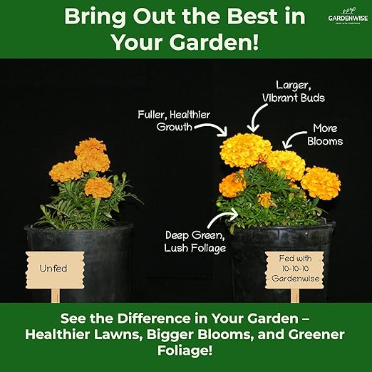 10-10-10 All-Purpose Professional Fertilizer Plant Food for Indoor/Outdoor Gardening; Premium Shrub, Tree, Flower, Vegetable and Lawn Fertilizer; Quick-Release Nitrogen (20 QUARTS)