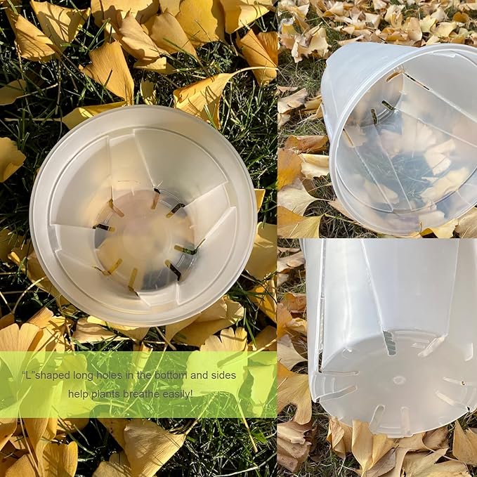 30 pcs 5/6 inch Clear Nursery pots,Thick Plastic Clear Plant pots with Drainage Holes for Orchids,Succulents etc,Outdoor or Indoor use