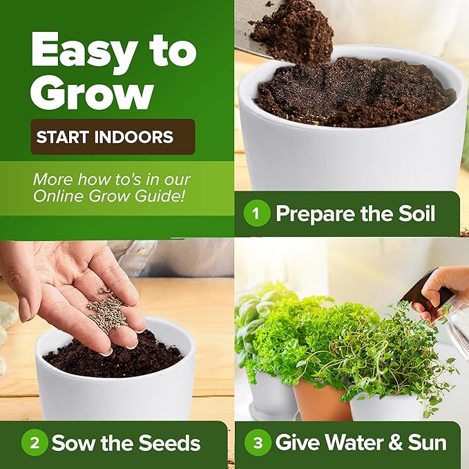 HOME GROWN 30 Herb Seeds for Planting 9,500+ Non-GMO Heirloom Seeds | Extra Large Variety Pack Herb Kit – Indoor Outdoor & Hydroponic | Culinary Seed Set | Grow Your Own Herbs | Gardening Gift