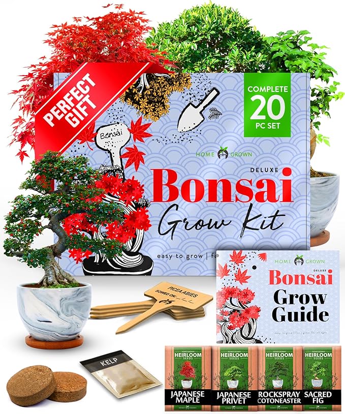 HOME GROWN Bonsai Tree Kit - Premium Ceramic Starter Kit - 4 Variety of Bonsai - Unique Gift for Men and Women Gardeners