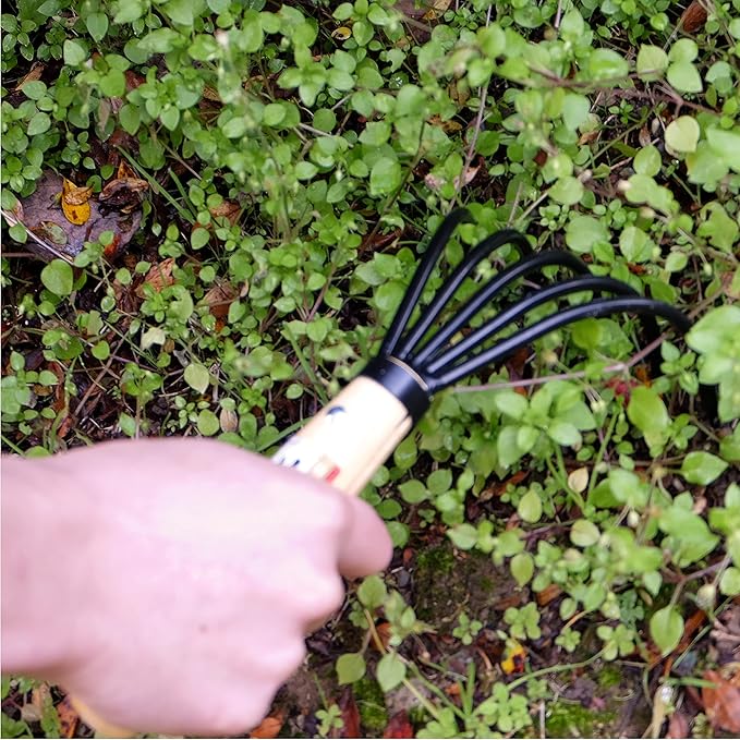 KAKURI Hand Cultivator Garden Tool 10", Handheld Rake for Weeding, Digging, Cultivating, Hand-Forged Japanese Steel, Made in Japan