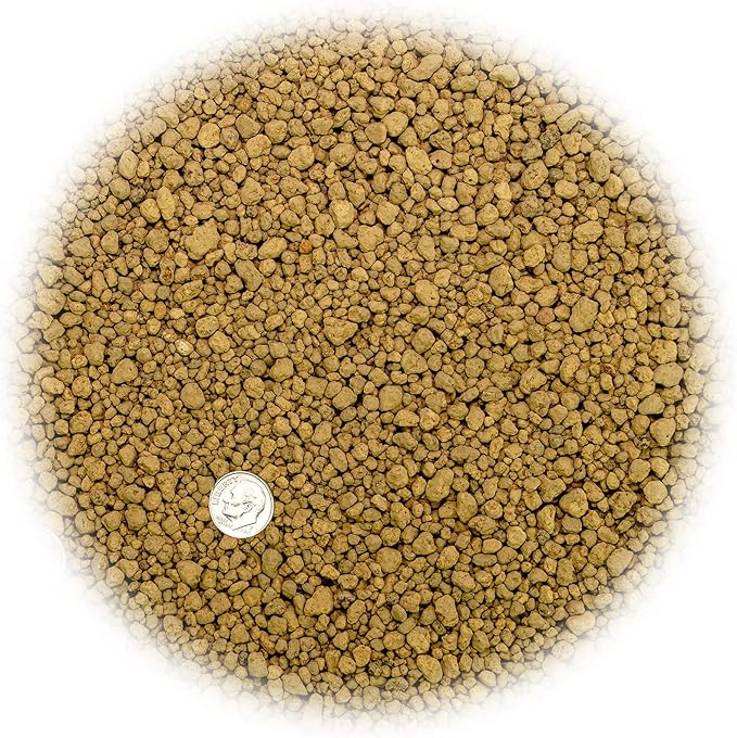 Japanese Hyuga Pumice - Premium Additive for Orchid & Bonsai Tree Soil |Professional Imported Sifted and Ready to Use (3 Quart Bag)