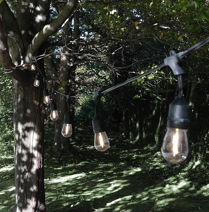 Hometown Evolution, Inc. 24 Foot E26 LED Outdoor Commercial String Lights with 12 Suspended Sockets and S14 LED Filament 1 Watt Bulbs