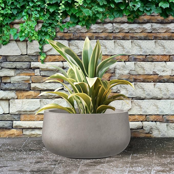 Kante 11.8" Dia Round Concrete Planter, Cement Plant Pots with Drainage Hole and Rubber Plug for Outdoor Indoor Garden Home, Modern Curvaceous Design, Weathered Concrete