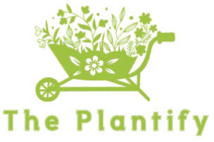 The Plantify